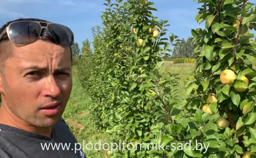 Превью видео