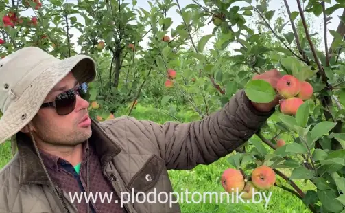 Превью видео