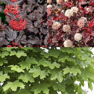 Комплект ОСЕННИЙ КОСТЕР в Одинцове