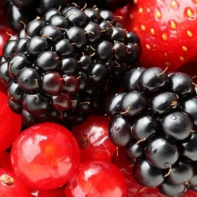 Ежевика  Ежевика в Одинцове