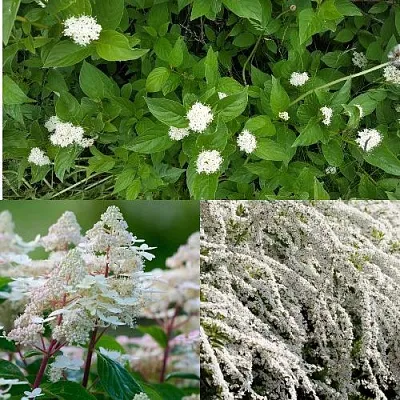 Комплект СКАНДИНАВСКИЙ СТИЛЬ в Одинцове