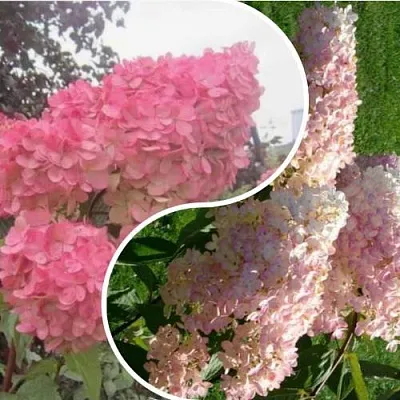 Комплект МНОГОГРАННОСТЬ в Одинцове