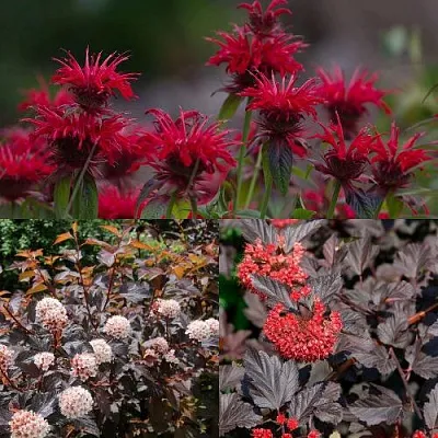 Комплект ОГНЕННЫЙ МИКС в Одинцове