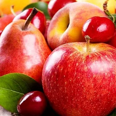 Плодовые деревья  Плодовые деревья в Одинцове