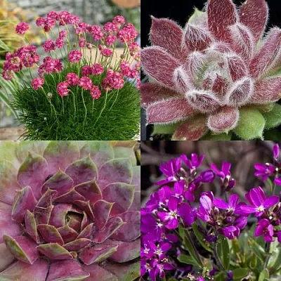 Комплект МИНИ САД в Одинцове