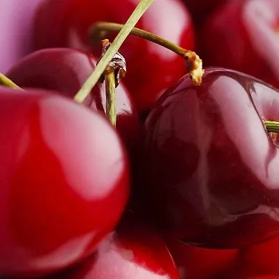 Вишня  Вишня в Одинцове