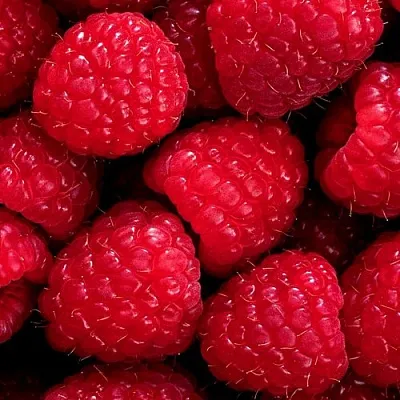 Малина  Малина в Одинцове