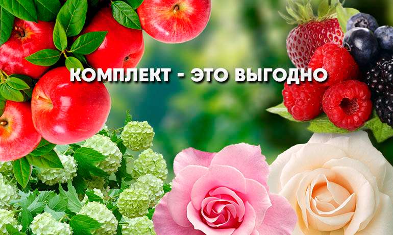 Комплект - это выгодно