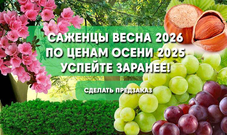 Успейте оформить заказ на весну 2026 по ценам осени 2025 Успейте оформить заказ на весну 2026 по ценам осени 2025