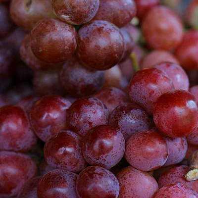 Красный в Одинцове